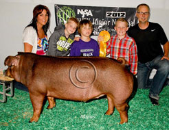 World Pork Expo Jr Barrow Show Winner
