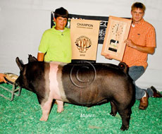 World Pork Expo Jr Barrow Show Winner