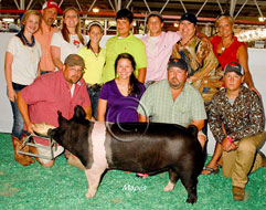 World Pork Expo Jr Barrow Show Winner