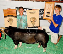 World Pork Expo Jr Barrow Show Winner