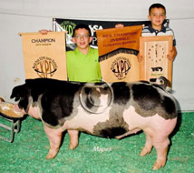 World Pork Expo Jr Barrow Show Winner