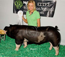 World Pork Expo Jr Barrow Show Winner