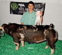 World Pork Expo Jr Barrow Show Winner