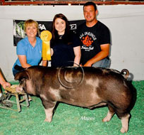 World Pork Expo Jr Barrow Show Winner