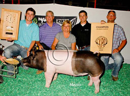 World Pork Expo Jr Barrow Show Winner