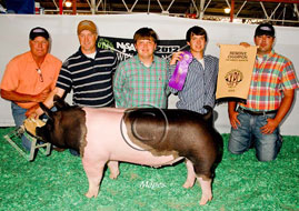 World Pork Expo Jr Barrow Show Winner