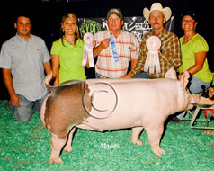 World Pork Expo Jr Barrow Show Winner