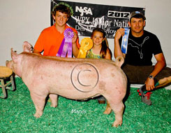 World Pork Expo Jr Barrow Show Winner