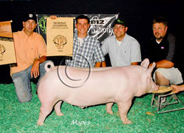 World Pork Expo Jr Barrow Show Winner