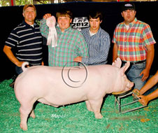 World Pork Expo Jr Barrow Show Winner
