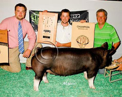 World Pork Expo Jr Gilt Show Winner