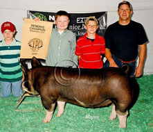 World Pork Expo Jr Gilt Show Winner