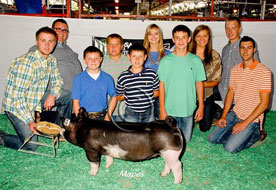 World Pork Expo Jr Gilt Show Winner