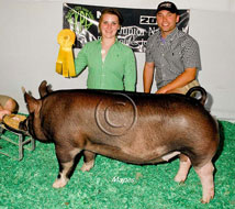 World Pork Expo Jr Gilt Show Winner