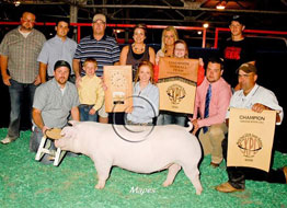 World Pork Expo Jr Gilt Show Winner