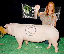 World Pork Expo Jr Gilt Show Winner