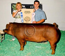 World Pork Expo Jr Gilt Show Winner