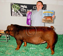 World Pork Expo Jr Gilt Show Winner