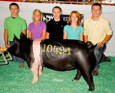 World Pork Expo Jr Gilt Show Winner