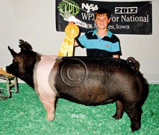 World Pork Expo Jr Gilt Show Winner
