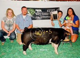 World Pork Expo Jr Gilt Show Winner