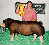 World Pork Expo Jr Gilt Show Winner