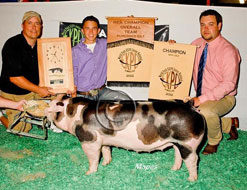 World Pork Expo Jr Gilt Show Winner