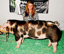 World Pork Expo Jr Gilt Show Winner