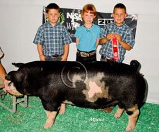 World Pork Expo Jr Gilt Show Winner