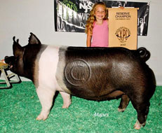 World Pork Expo Jr Gilt Show Winner