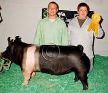 World Pork Expo Jr Gilt Show Winner
