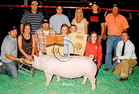 World Pork Expo Jr Gilt Show Winner