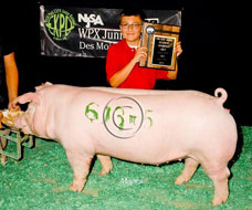 World Pork Expo Winner