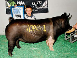 World Pork Expo Winner