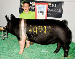 World Pork Expo Winner