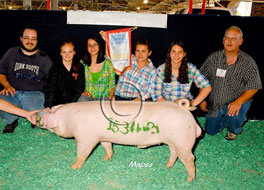 World Pork Expo Winner