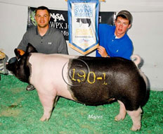 World Pork Expo Winner