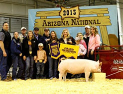 Arizona National Showpig Results