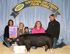 National Western Stock Show Showpig Results