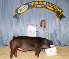 National Western Stock Show Showpig Results
