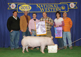National Western Stock Show Showpig Results