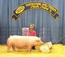 National Western Stock Show Showpig Results