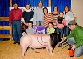 Dixie National Show Pig Results