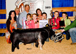 Dixie National Show Pig Results