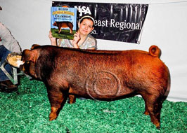 NJSA Southeast Regional Results