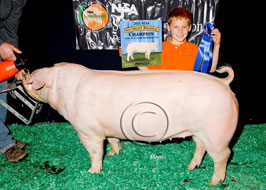 NJSA Southeast Regional Results