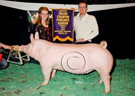 NJSA Southeast Regional Results