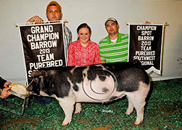 Team Purebred Southwest Regional Results