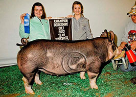 Team Purebred Southwest Regional Results