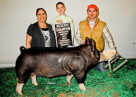 Team Purebred Southwest Regional Results